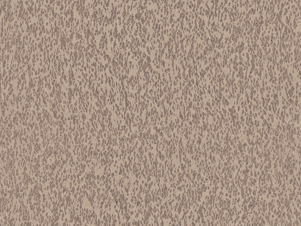 Casca  - CAS31