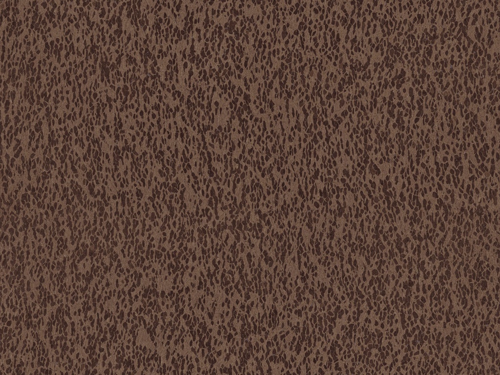 Casca  - CAS32