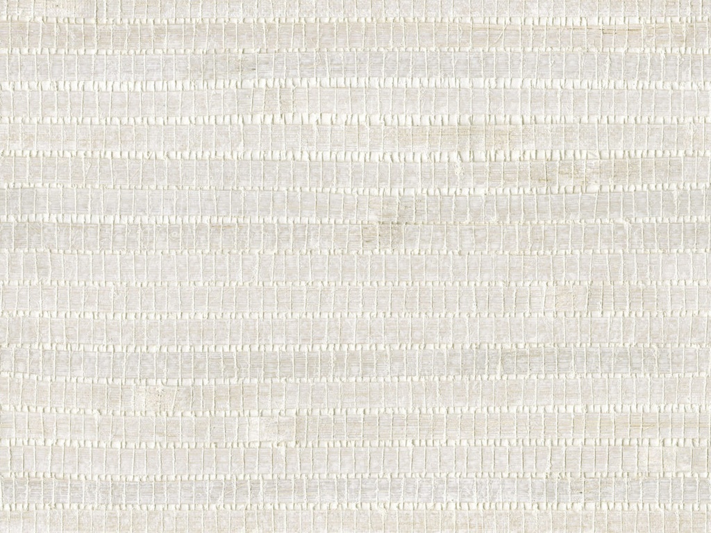 Shades Of Pale - SOP4111