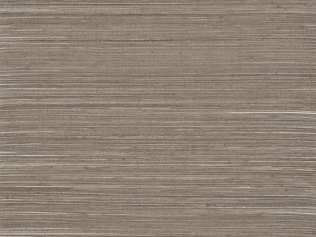 Intuition - INT514