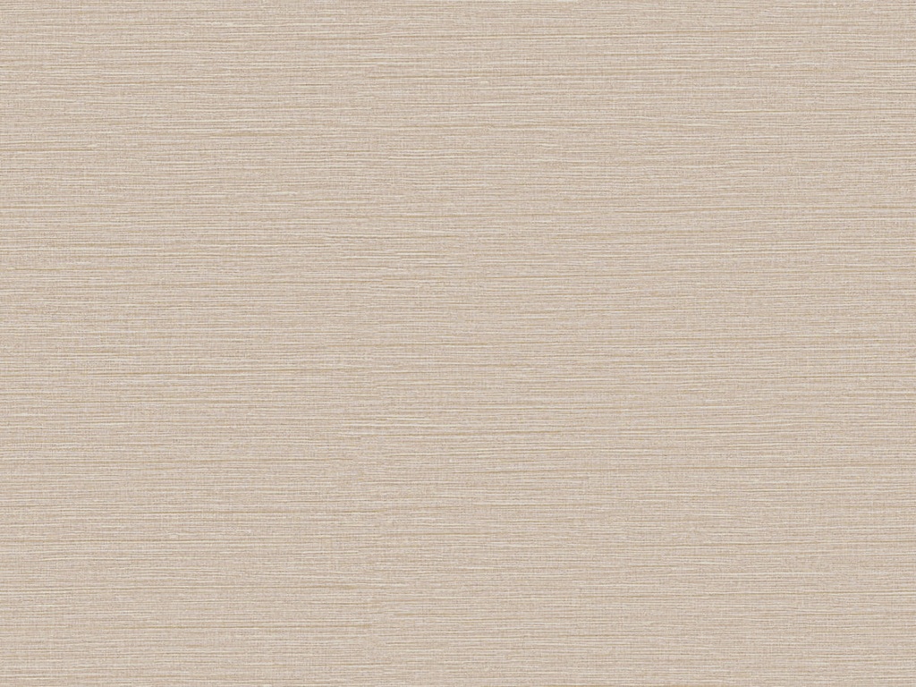 Café Society - CS44