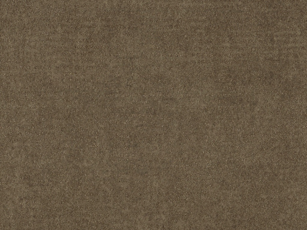 Edition  - ED2526