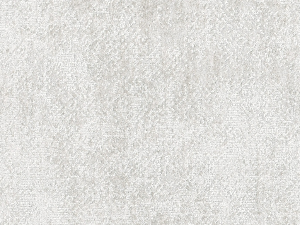 Edition  - ED3018