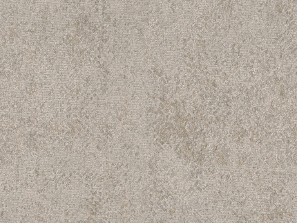 Edition  - ED3006