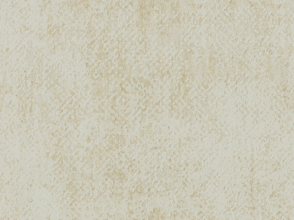 Edition  - ED3023