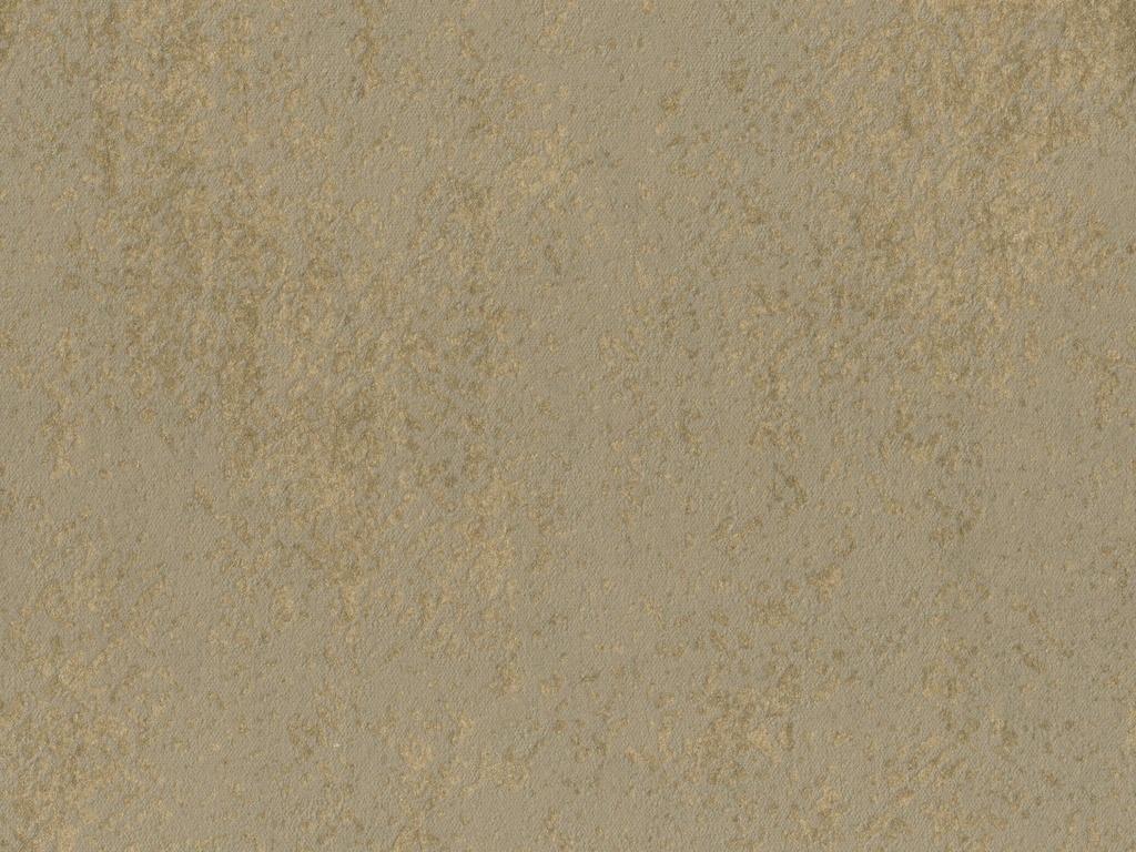 Edition  - ED3001