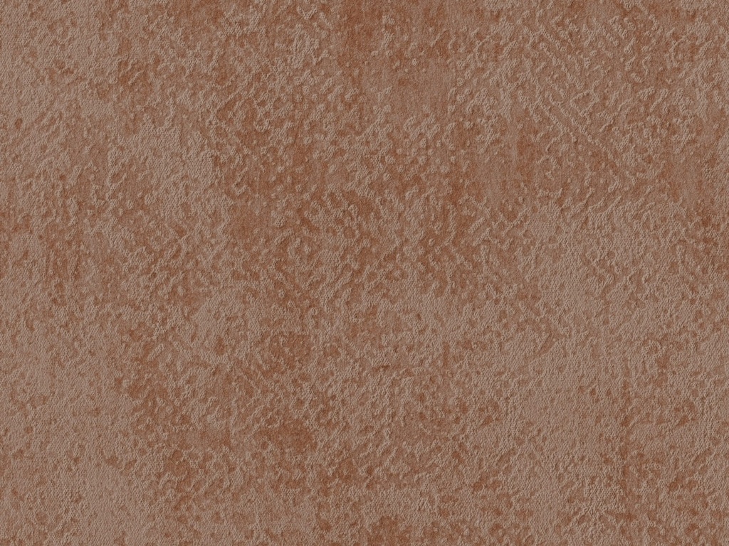 Edition  - ED3026