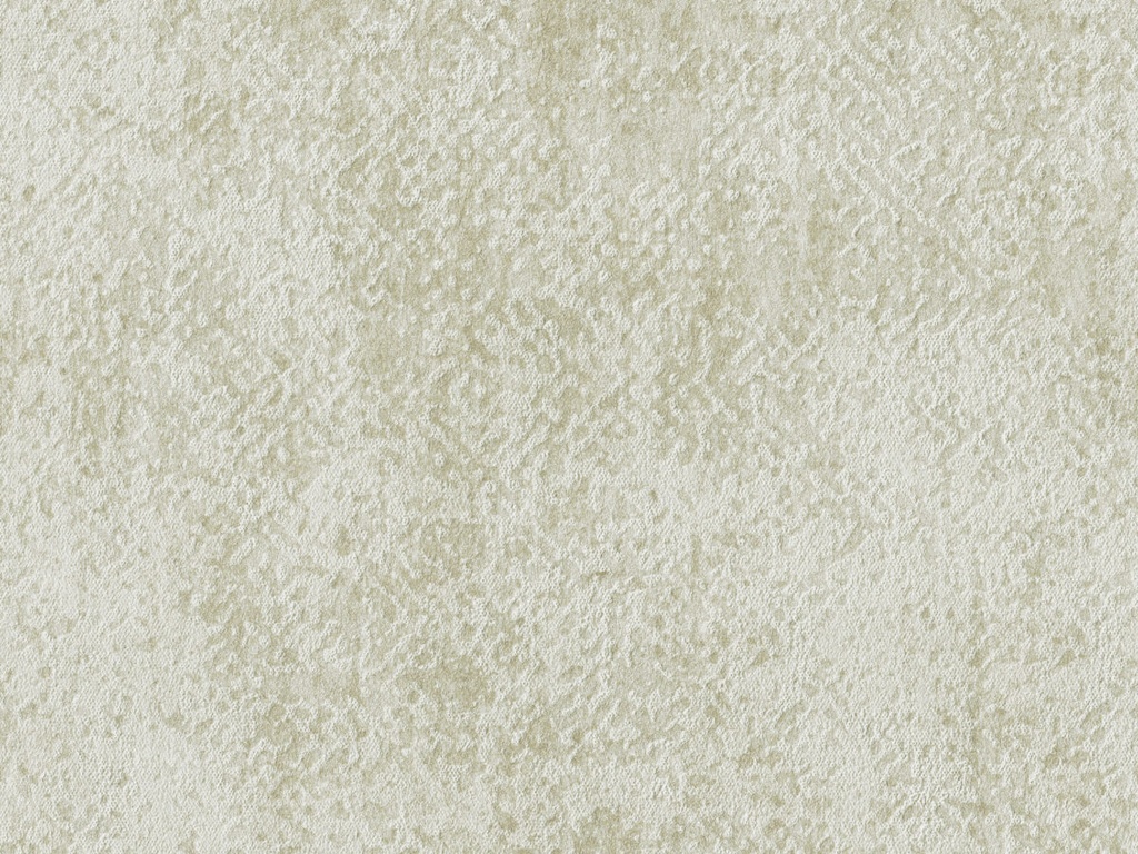 Edition  - ED3025