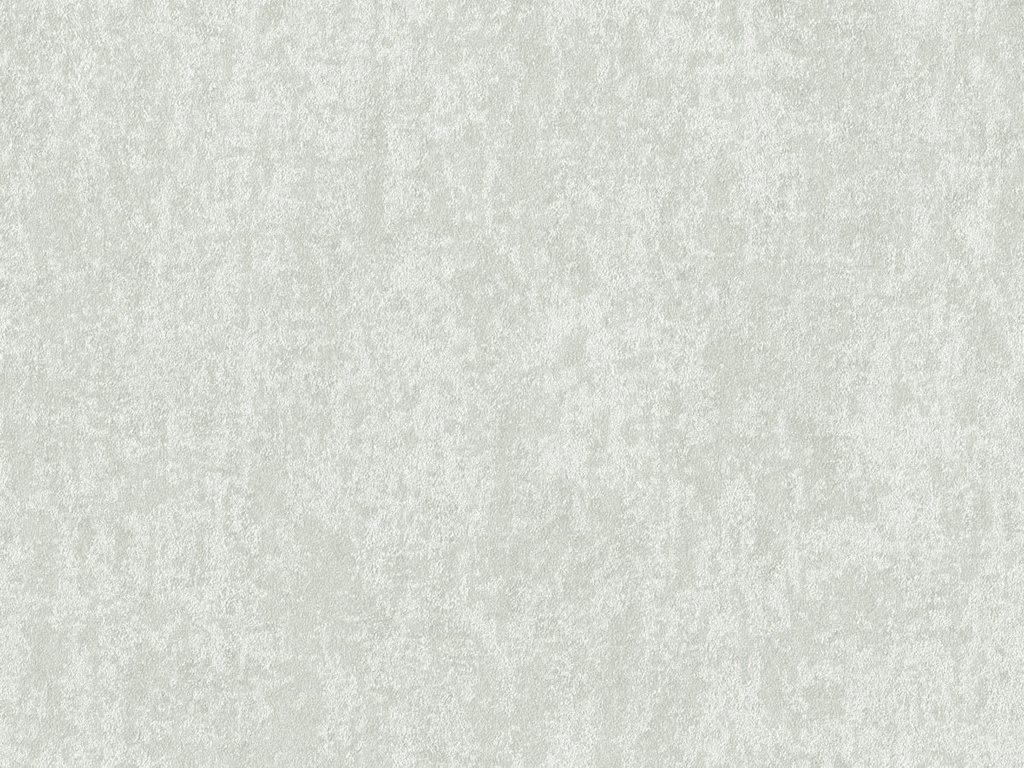 Edition  - ED6055
