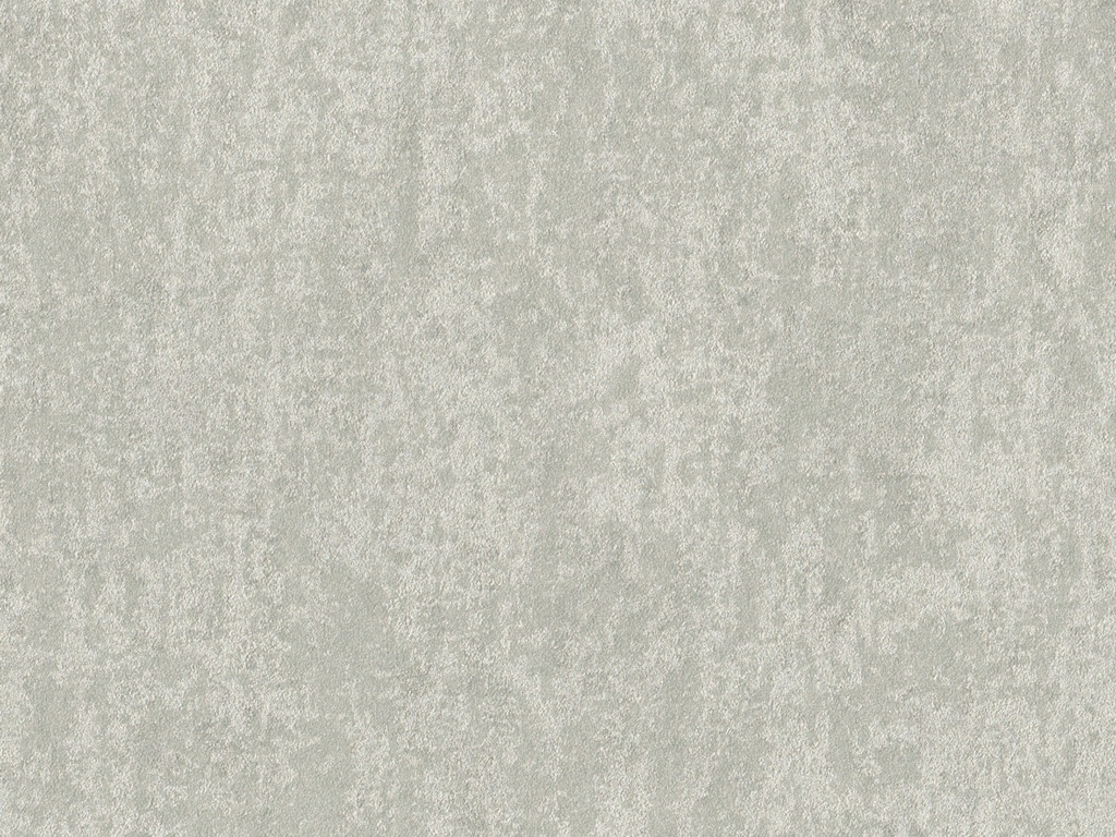 Edition  - ED6024