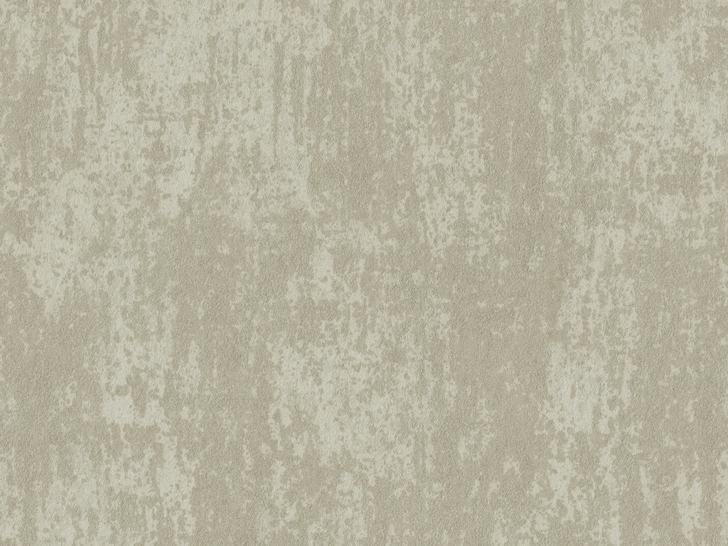 Edition  - ED6014