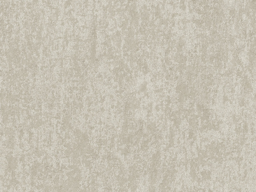 Edition  - ED6058