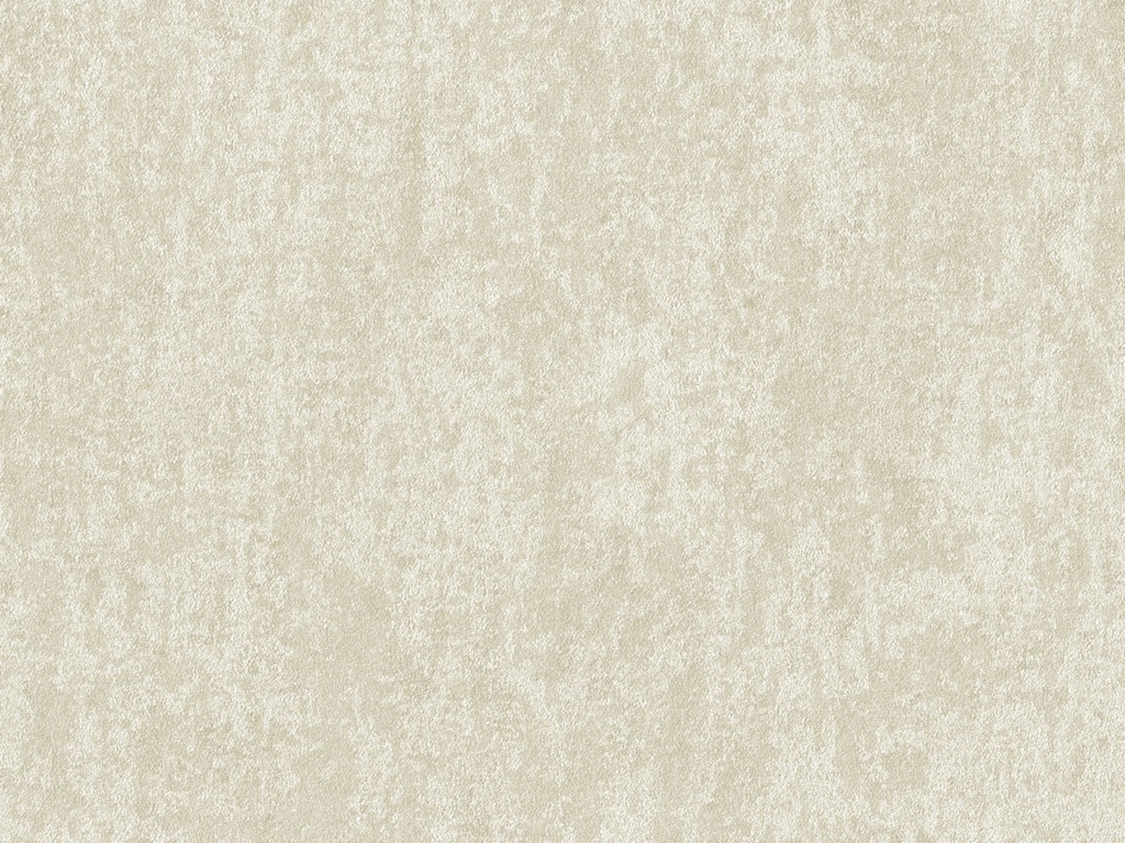 Edition  - ED6053