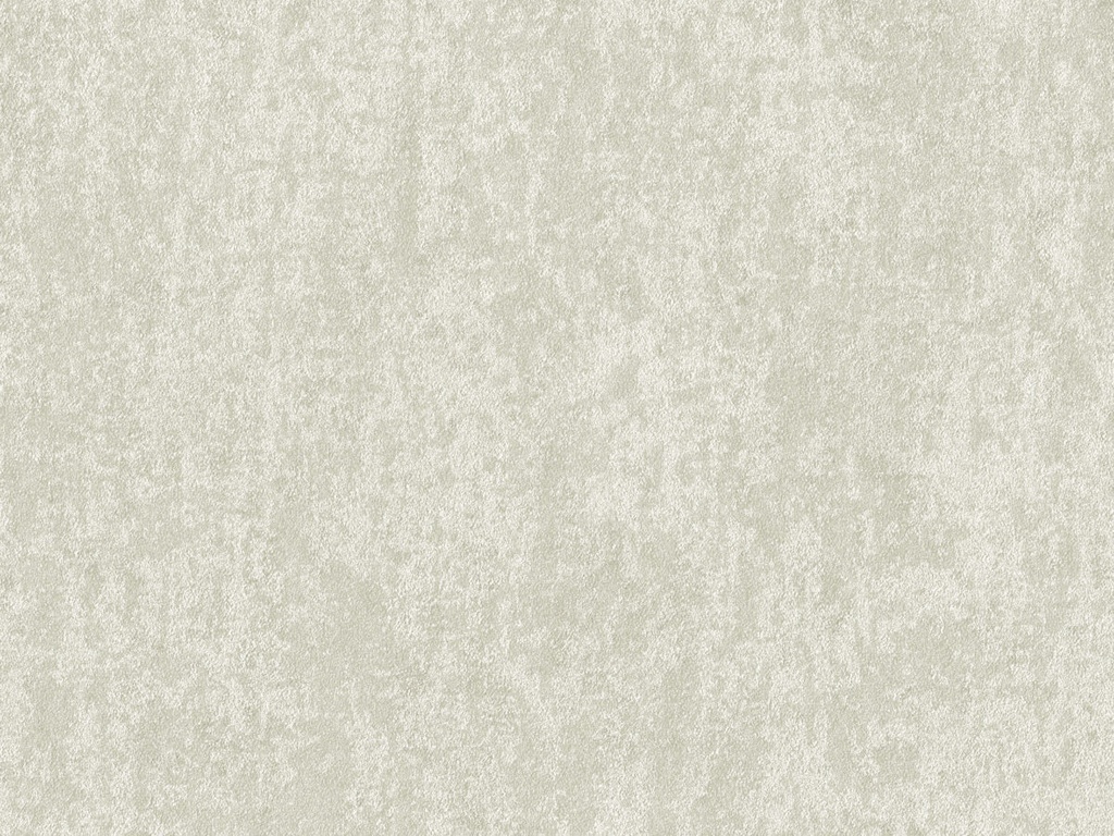 Edition  - ED6054