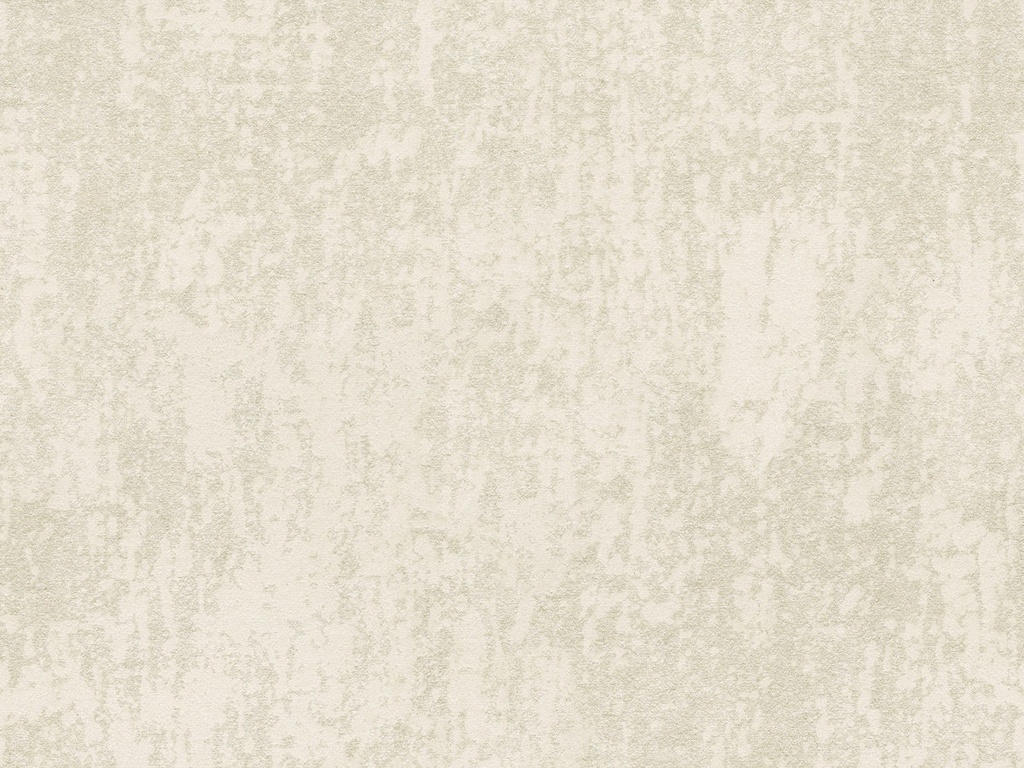Edition  - ED6015
