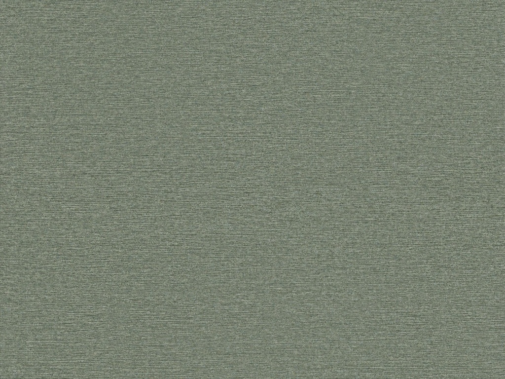 Edition  - ED7002