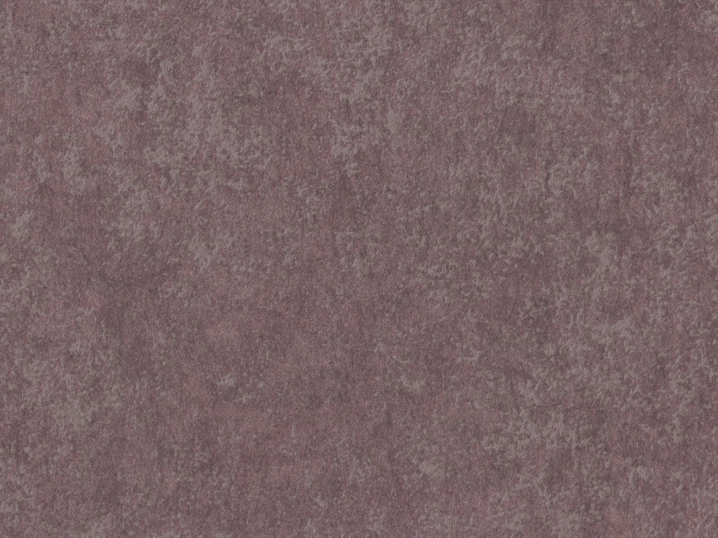 Edition  - ED9013