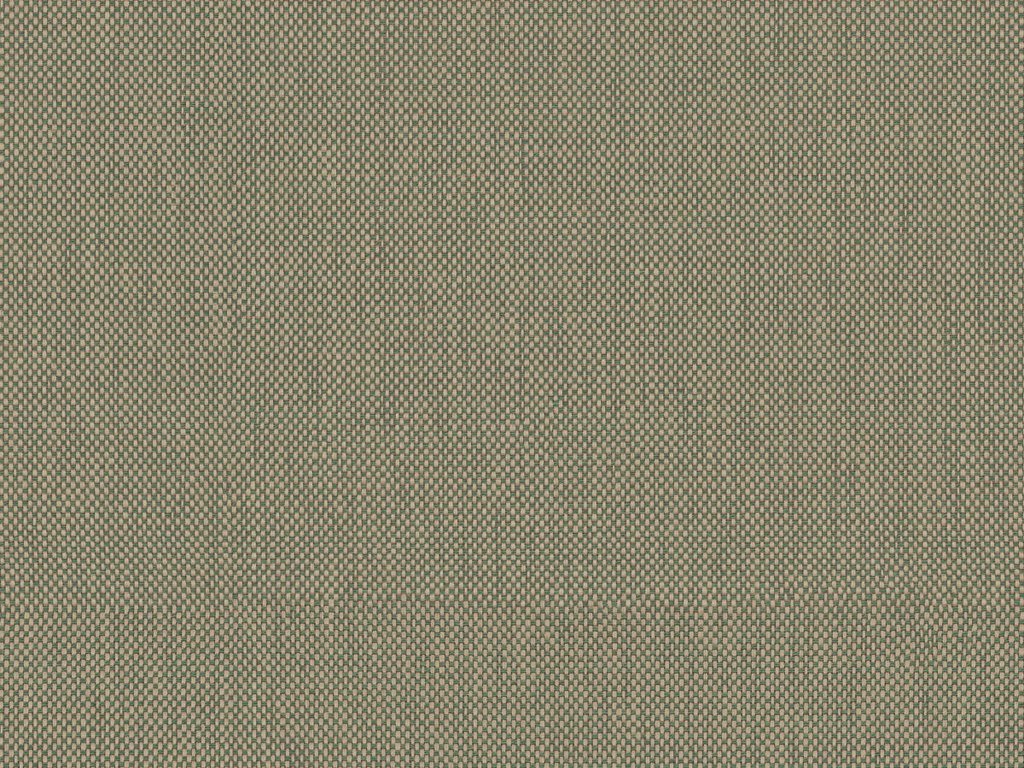 Oase - OAS243