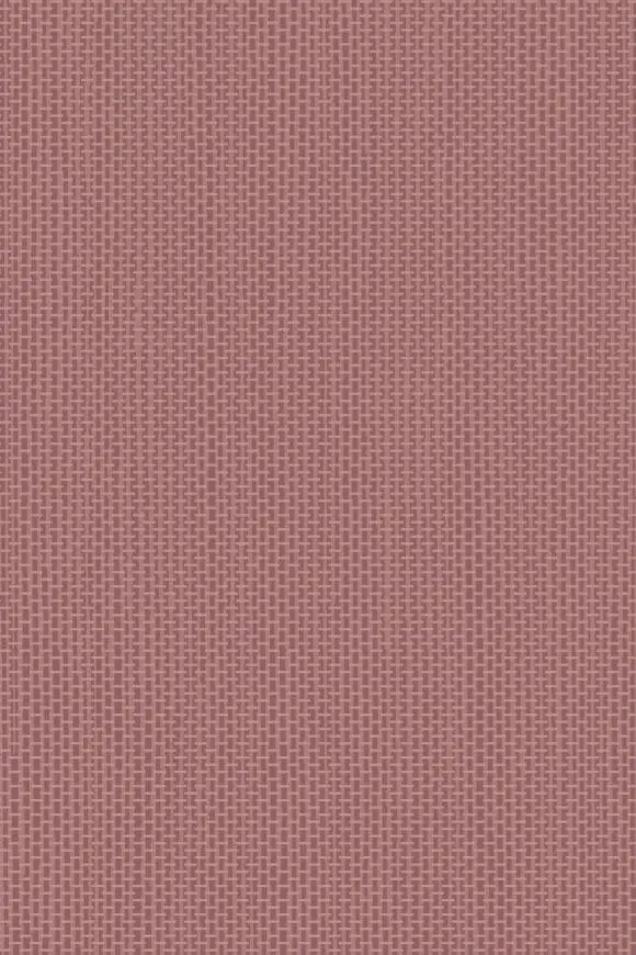 67746