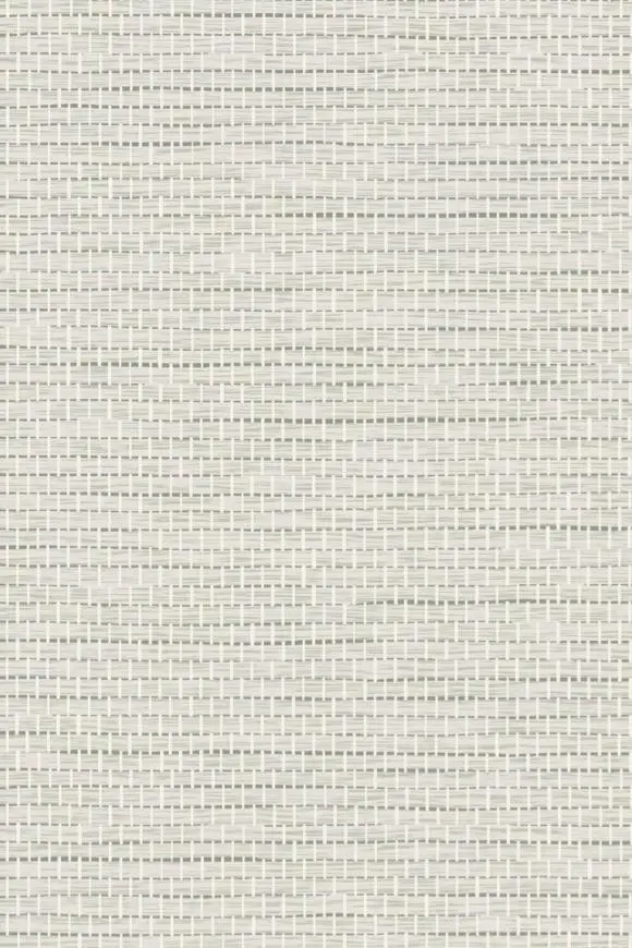 67803
