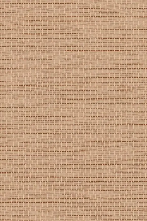 67806