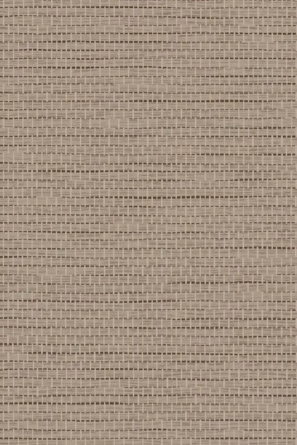 67807