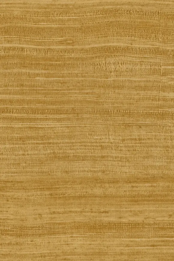 TASAR - 72026