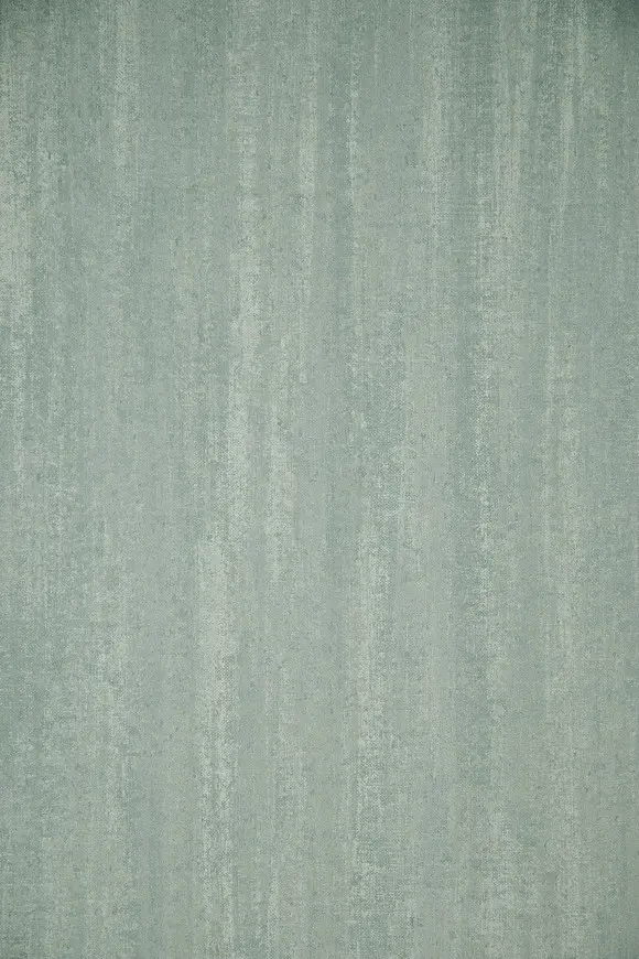 50003