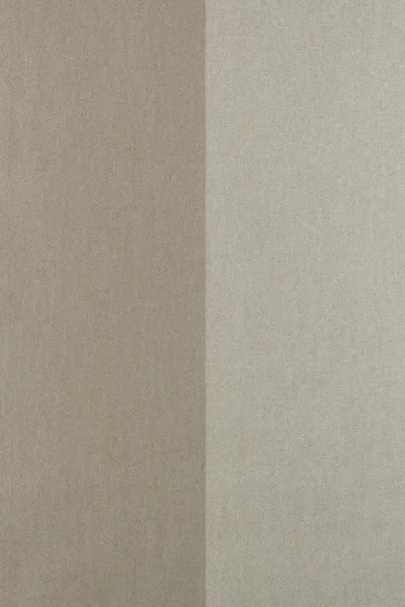 30003