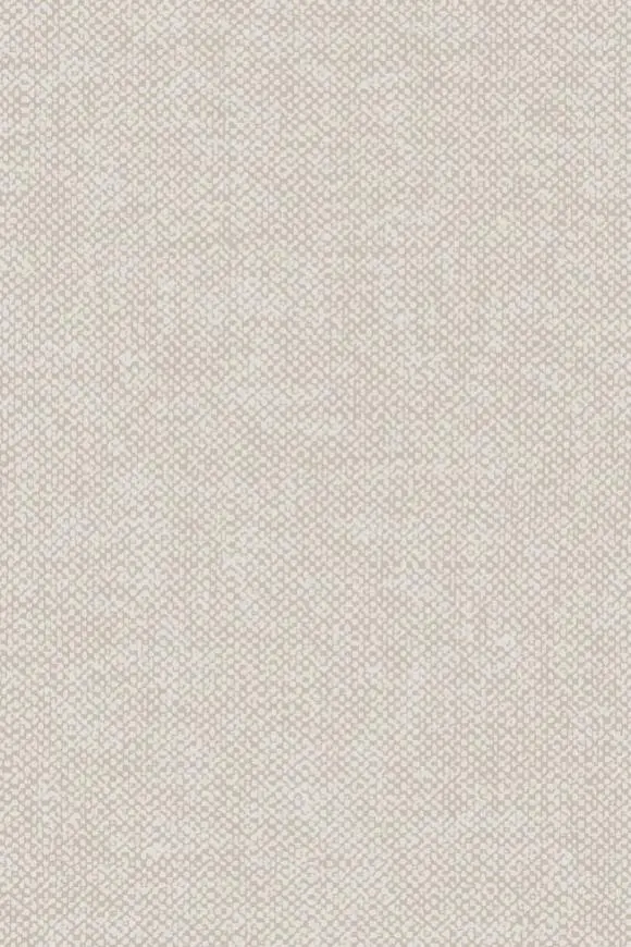 78005