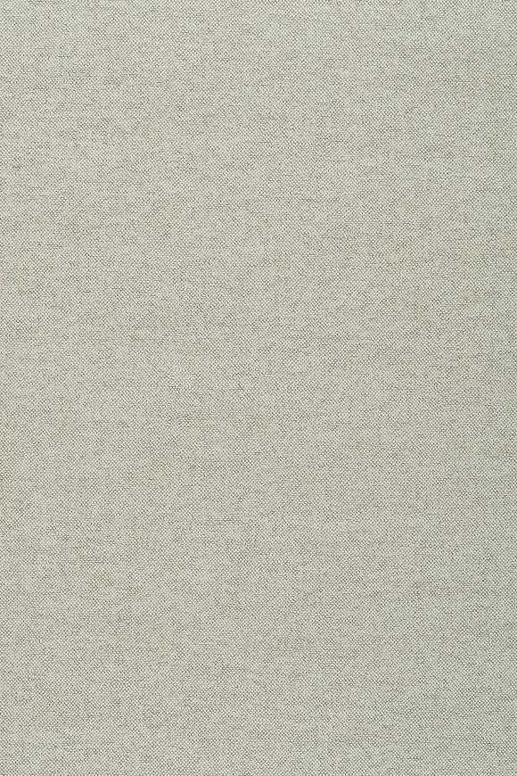 18207