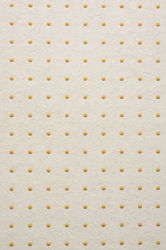 31003