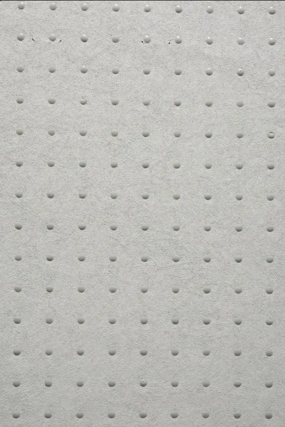 31005