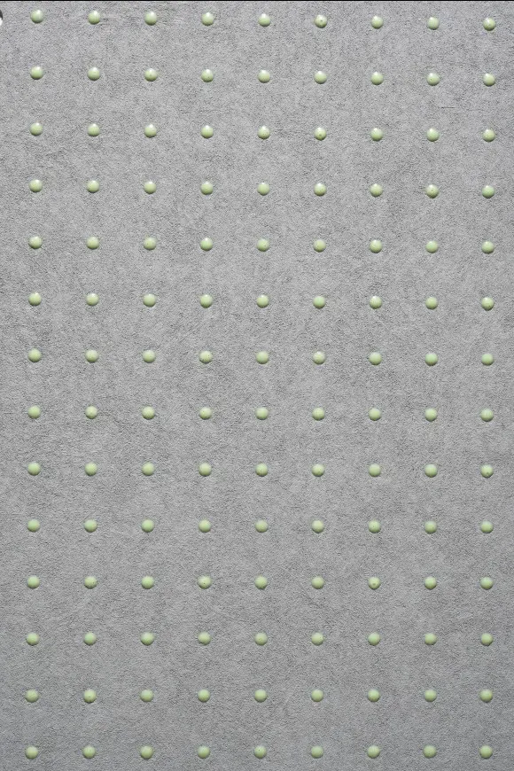 31006