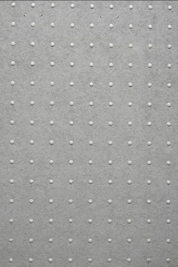 31007
