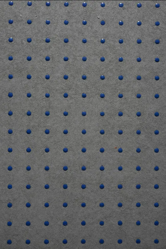31009