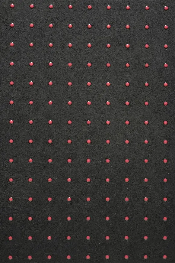31010