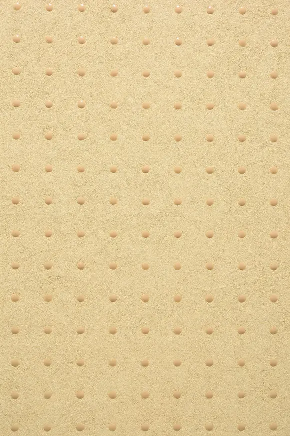 31023