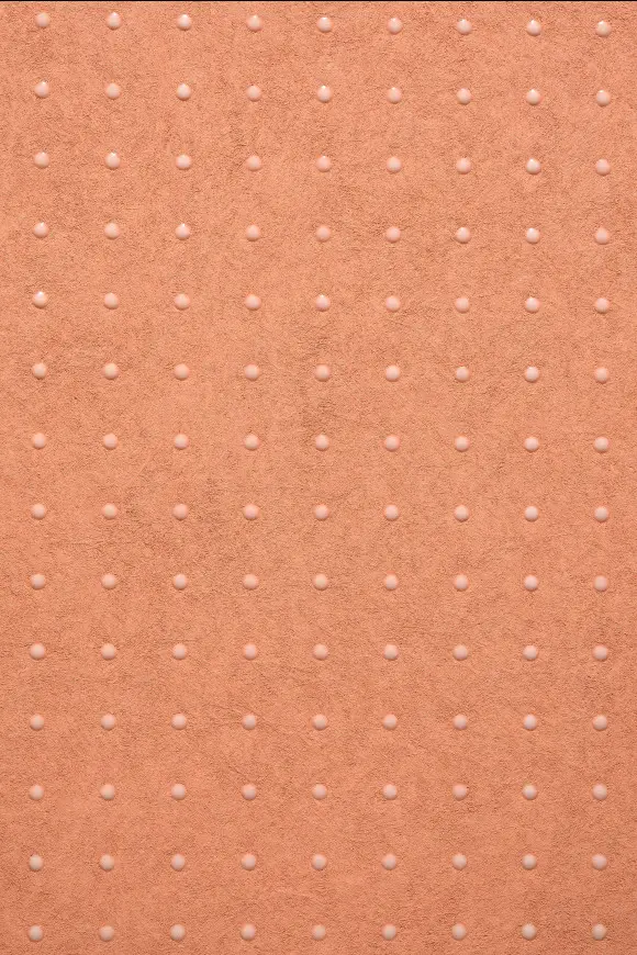 31024