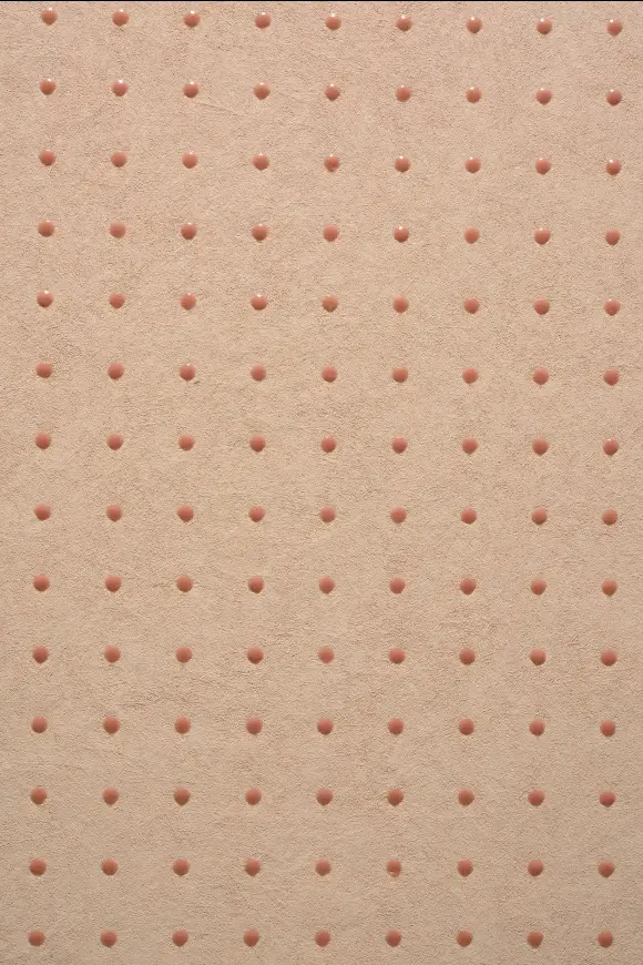 31029