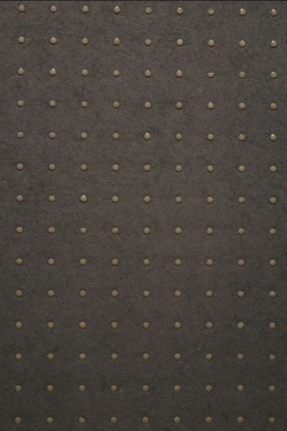 31036