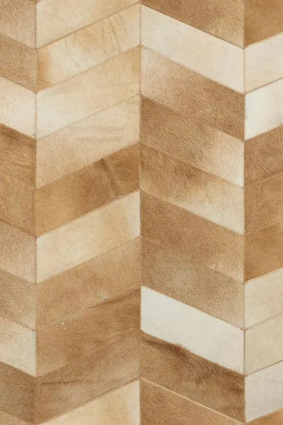 33531
