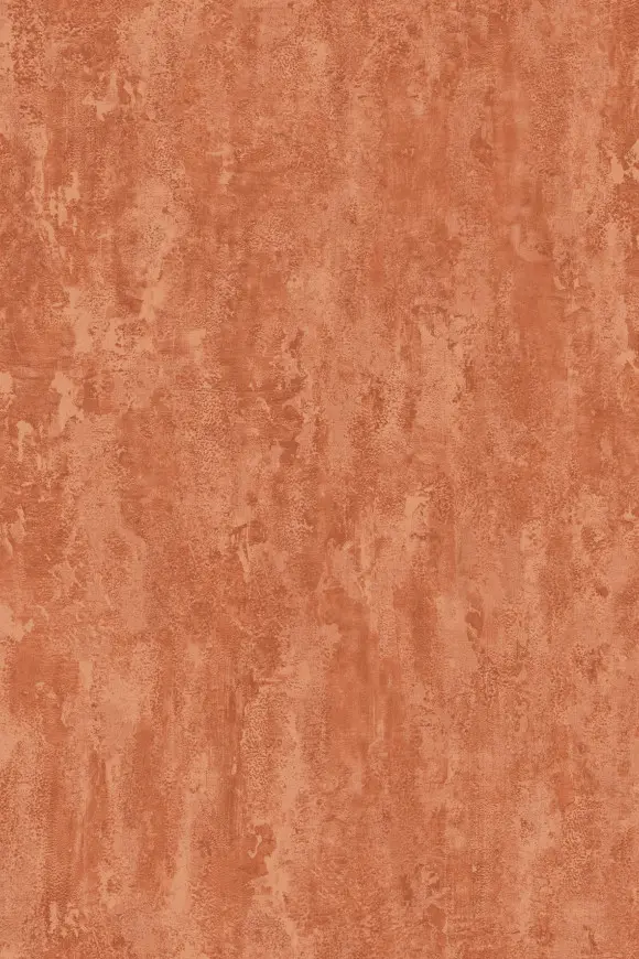 70529