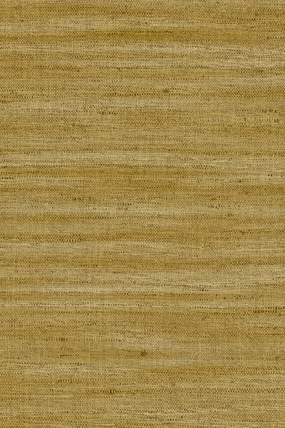 40501