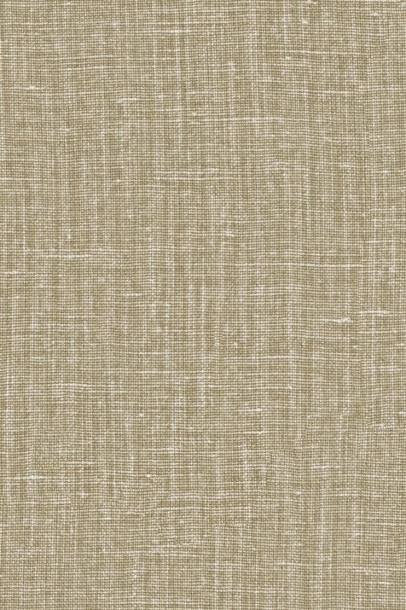 40520