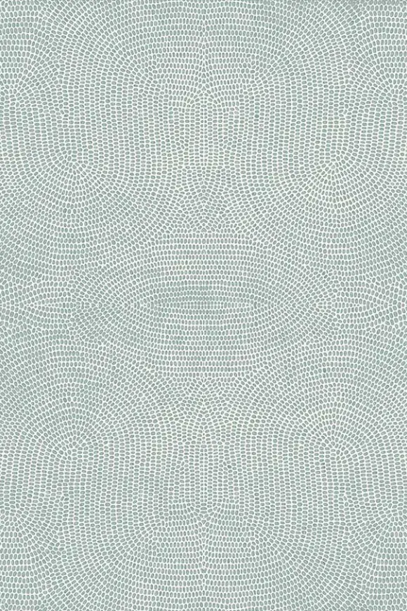 50570