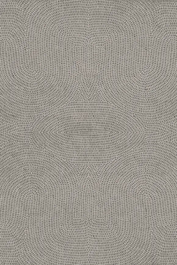 50572