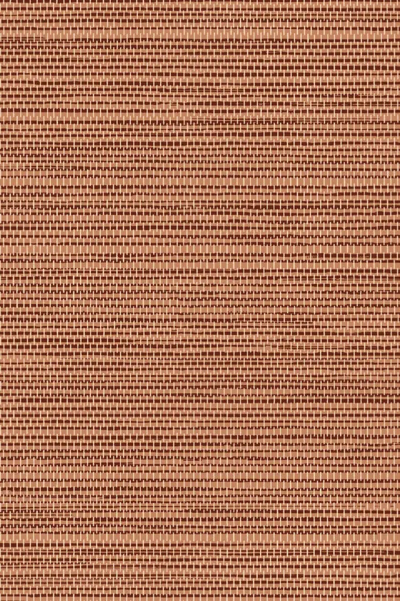 26709
