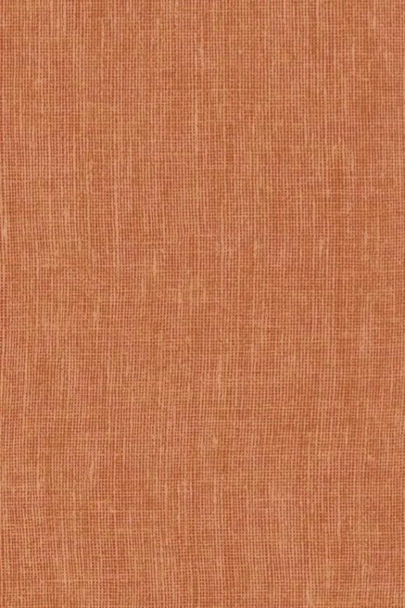 78231
