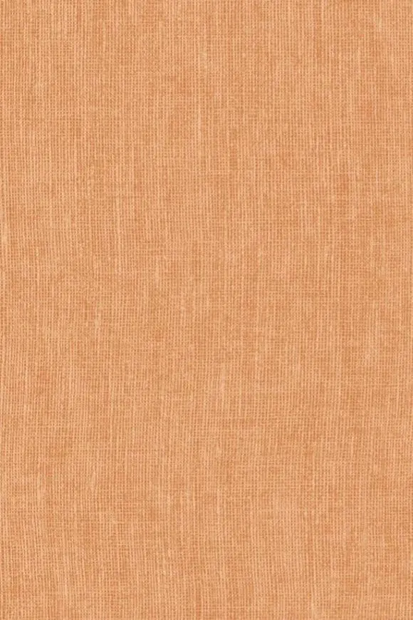 78232